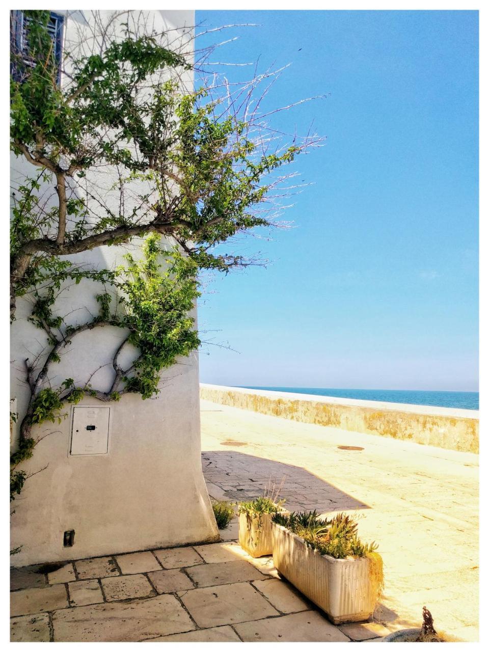 Pensione Al Pescatore Termoli Exterior foto